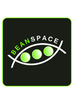 BeanSpace