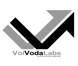 Voivoda  Labs