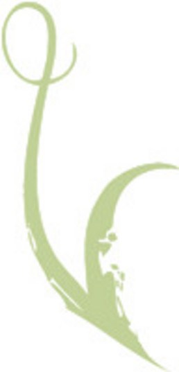 Veribatim Web Design & Consultation