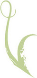 Veribatim Web Design & Consultation