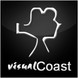 Visual Coast Web Development