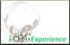 iChefExperience