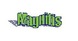 Magnifis