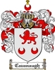 Kevin Cavanaugh