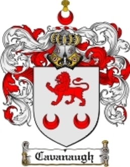 Kevin Cavanaugh