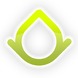 Codeus