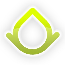 Codeus