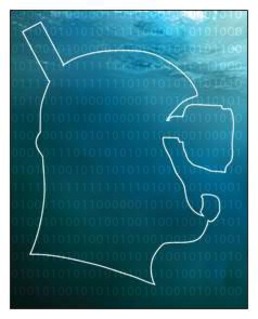 DataDiverz