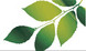 Fresh Web Services