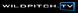 WildPitch.TV
