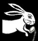The Rabbit Hole