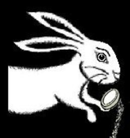 The Rabbit Hole