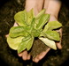 Sustainable Design/Build School 
