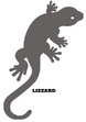 Lizzard