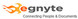 Egnyte