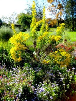 True Roots Natural Landscaping