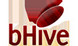 bHive Software