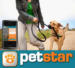 PetStar 