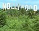 Nigerian International Film Consortium (NIFICON)
