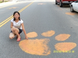 Ying Sun