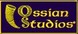Unannounced Ossian Studios project