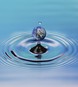 WaterShield Inc
