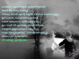 nandu sv