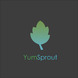 YST