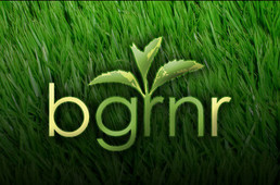 bgrnr.com