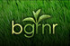 bgrnr.com