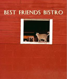 Pet Friendly Bistro