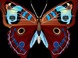 Transformation Through Knowledge