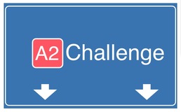 A2 Challenge 2010