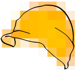 Fifty Orange Hats