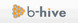 B-hive Networks