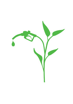 South Australian Biofuels