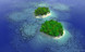 Y Link