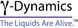 gamma dynamics