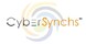 CyberSynchs