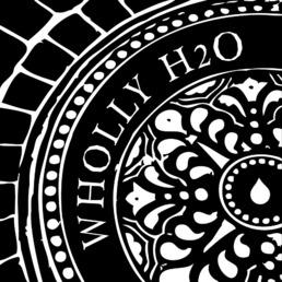Wholly H20