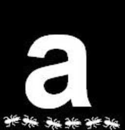 antloc
