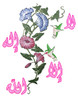asmaa mohammed mazrou
