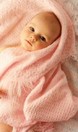 Hafssah Abd-Elhamied