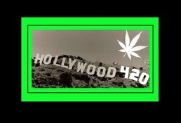 Hollywood 420