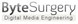 ByteSurgery