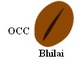 occ bhilai