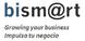 Bismart, Business Intelligence Specialist Services
