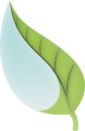 The Green Cooling Group