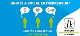 Who is a Social Entrepreneur?