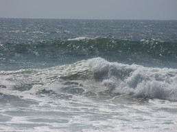 Coastal Angel